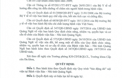 QUYẾT ĐỊNH BAN HÀNH QUY TRÌNH BÁO ĐỘNG ĐỎ NỘI VIỆN